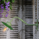 Green gooseneck courtyard wall lamp