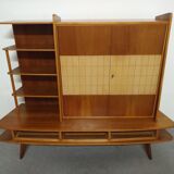 Furniture storage shelves library 50s