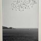 The flight