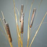 Vintage brass cattail floor lamp by Daniel D'Haeseleer, 1970s