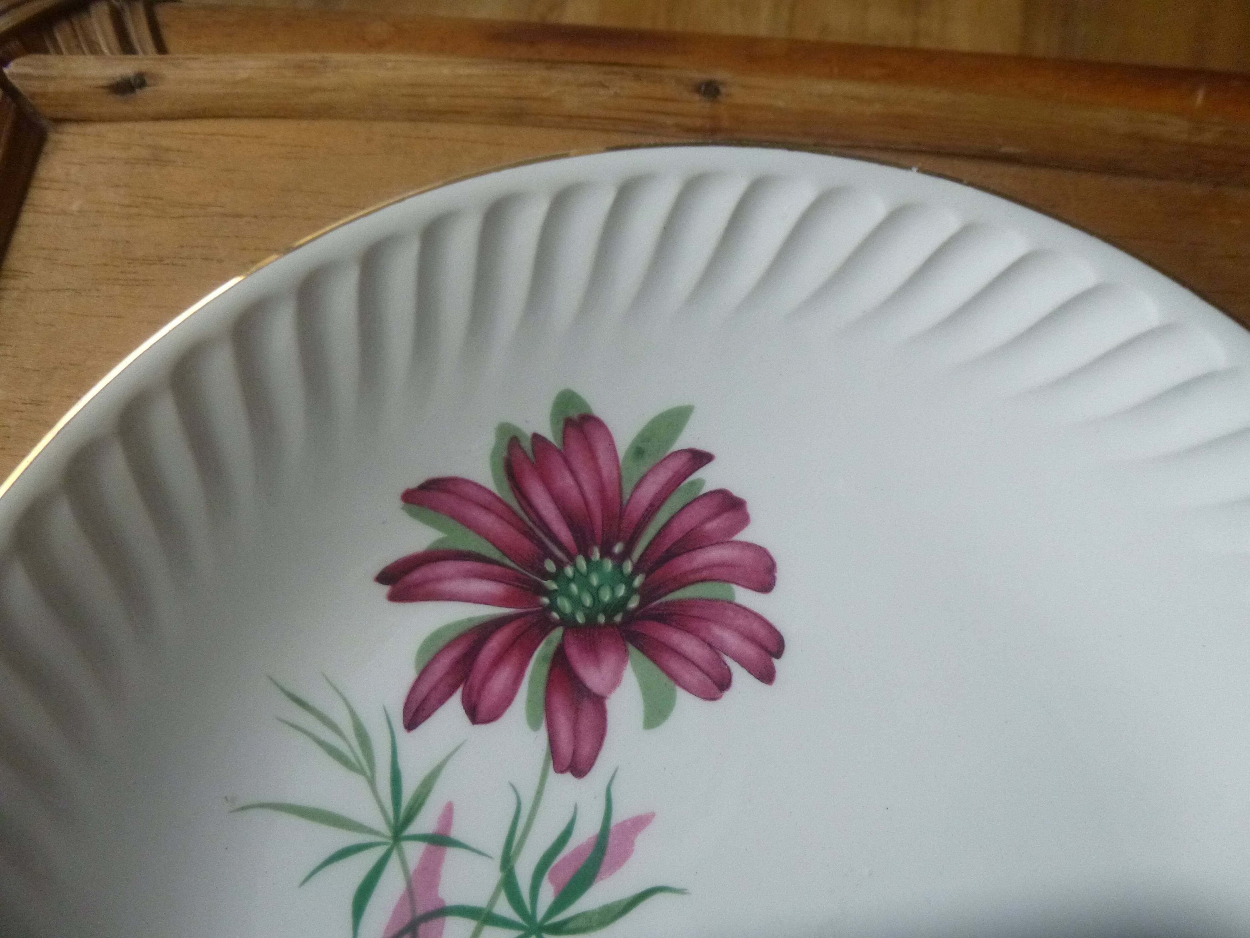 Flat plate gien model Malmaison