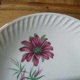 Flat plate gien model Malmaison