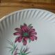 Flat plate gien model Malmaison