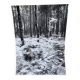 Silver gelatin photograph by Bernard Darot, Undergrowth, 20th century
