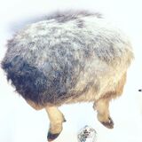 Wild deer skin tripod