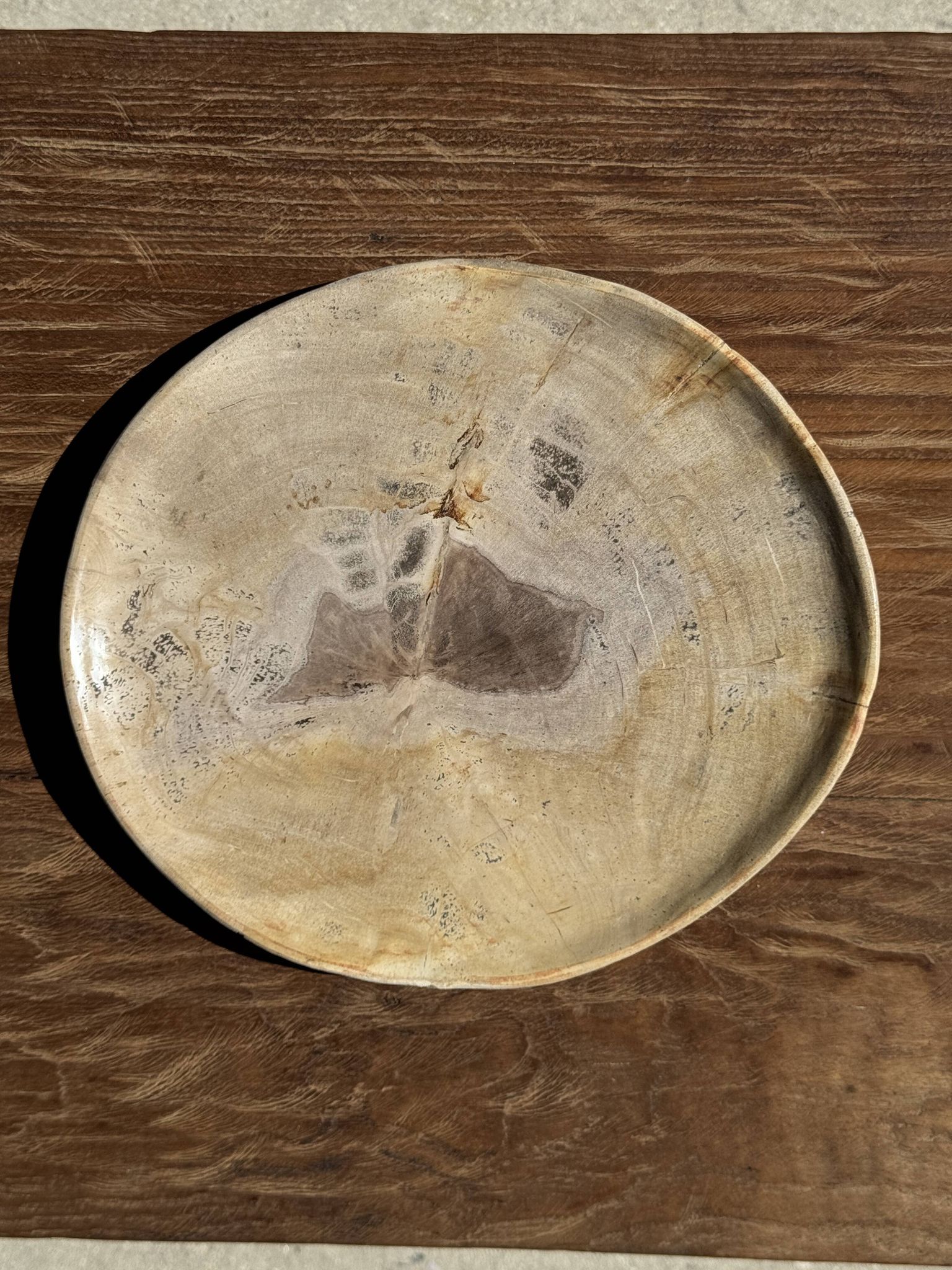 Petrified wood catchall or dish, beige with a brown spot in the centre, D24-27 -377.