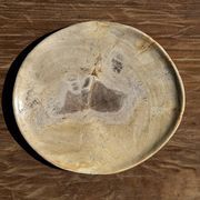 Petrified wood catchall or dish, beige with a brown spot in the centre, D24-27 -377.