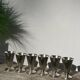 6 conical silver-plated metal bowls with hallmarks / Art Deco stemmed glasses