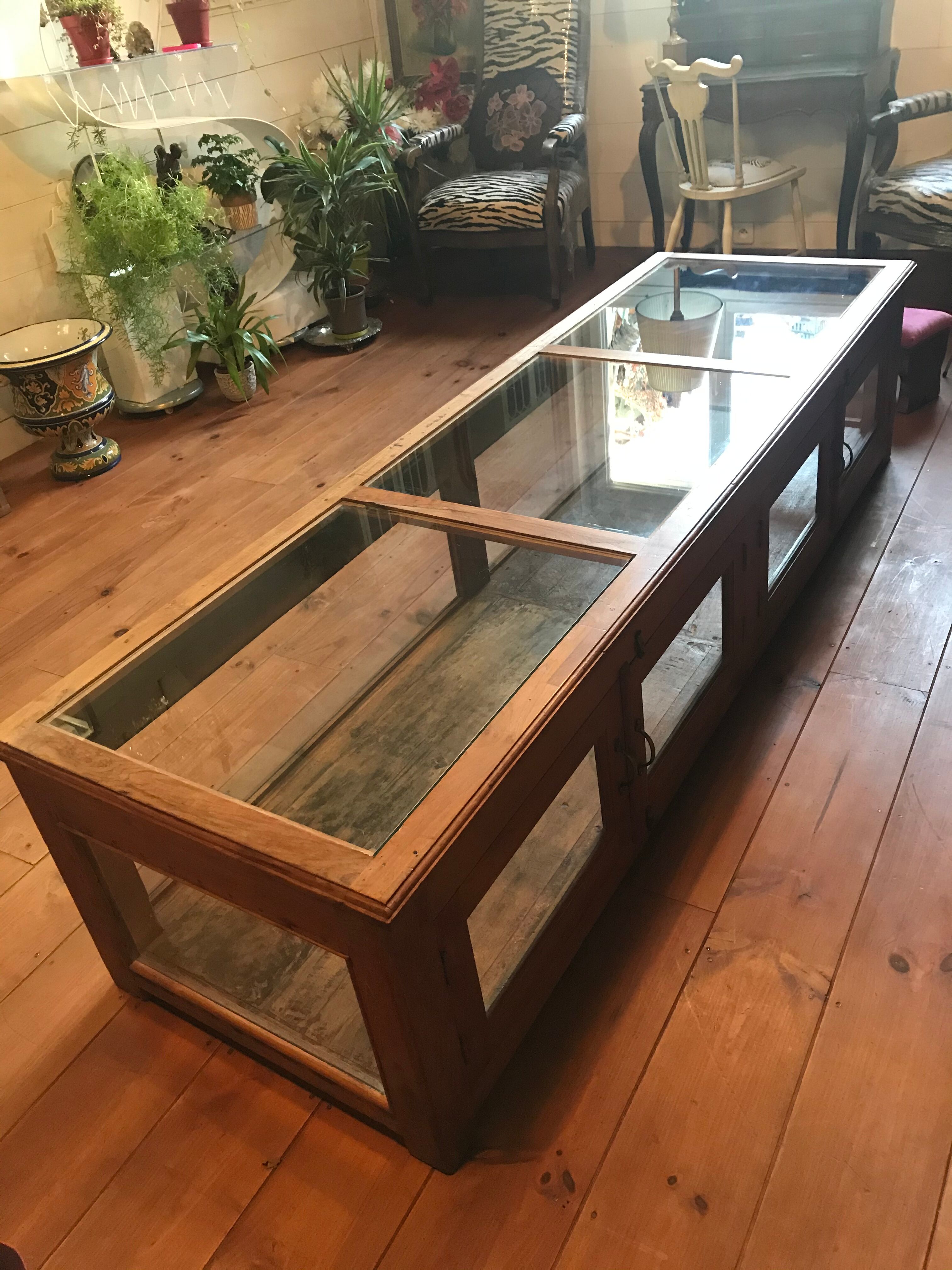 Furniture showcase wood and glass