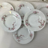 6 assiettes creuses en porcelaine décor floral