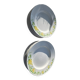 13 Richard Ginori flat and deep plates