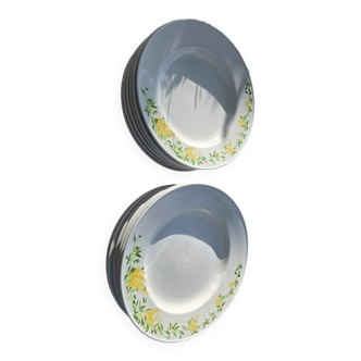 13 Richard Ginori flat and deep plates
