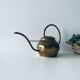 Old brass watering can