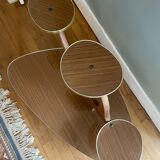 Table for plants 50s