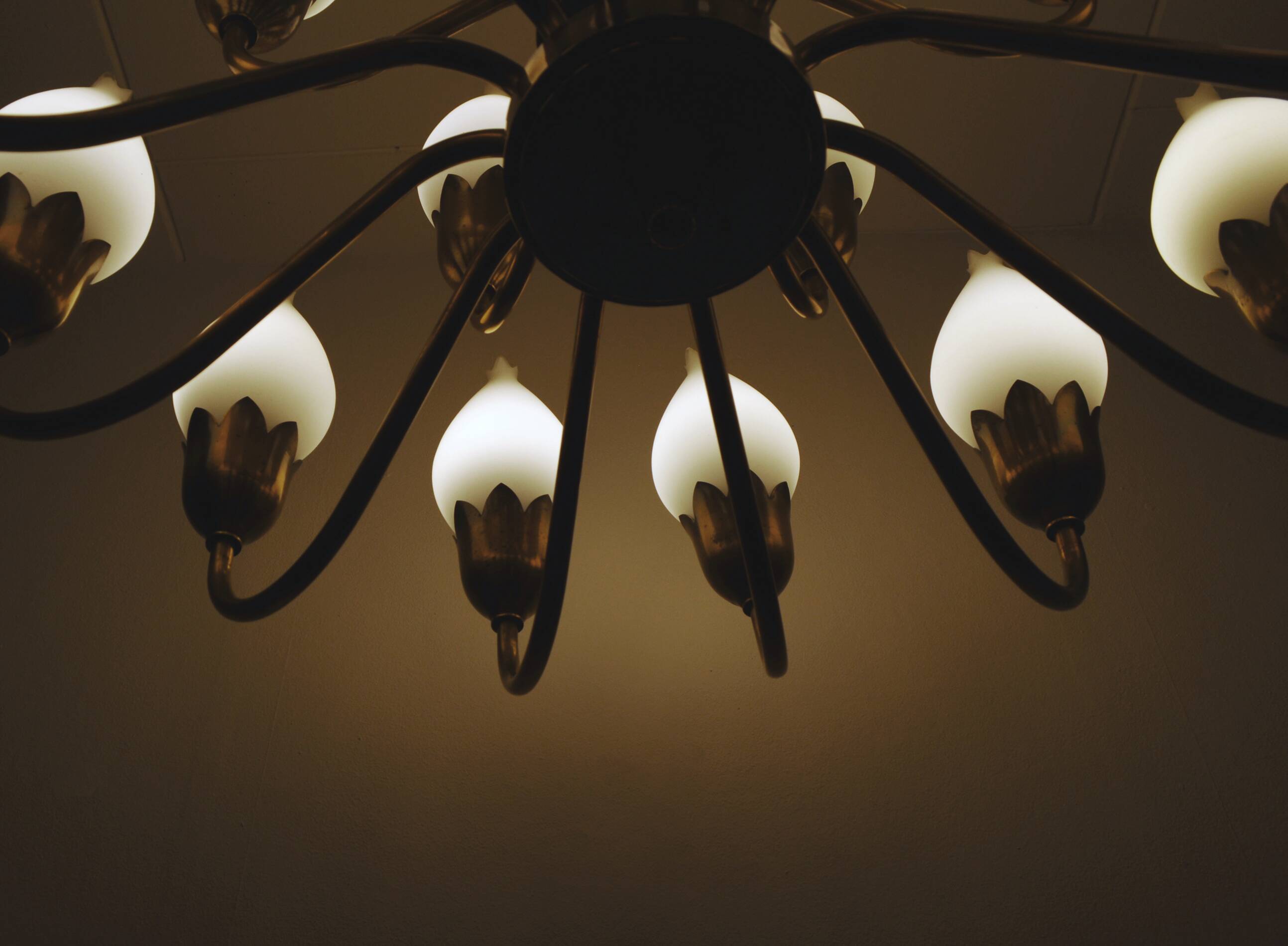 Fog & Mørup 18-Arm Brass and Opaline Glass Tulip Chandelier