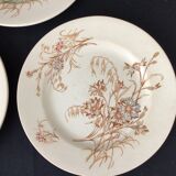 3 plates in Luneville earthenware model Bleuet