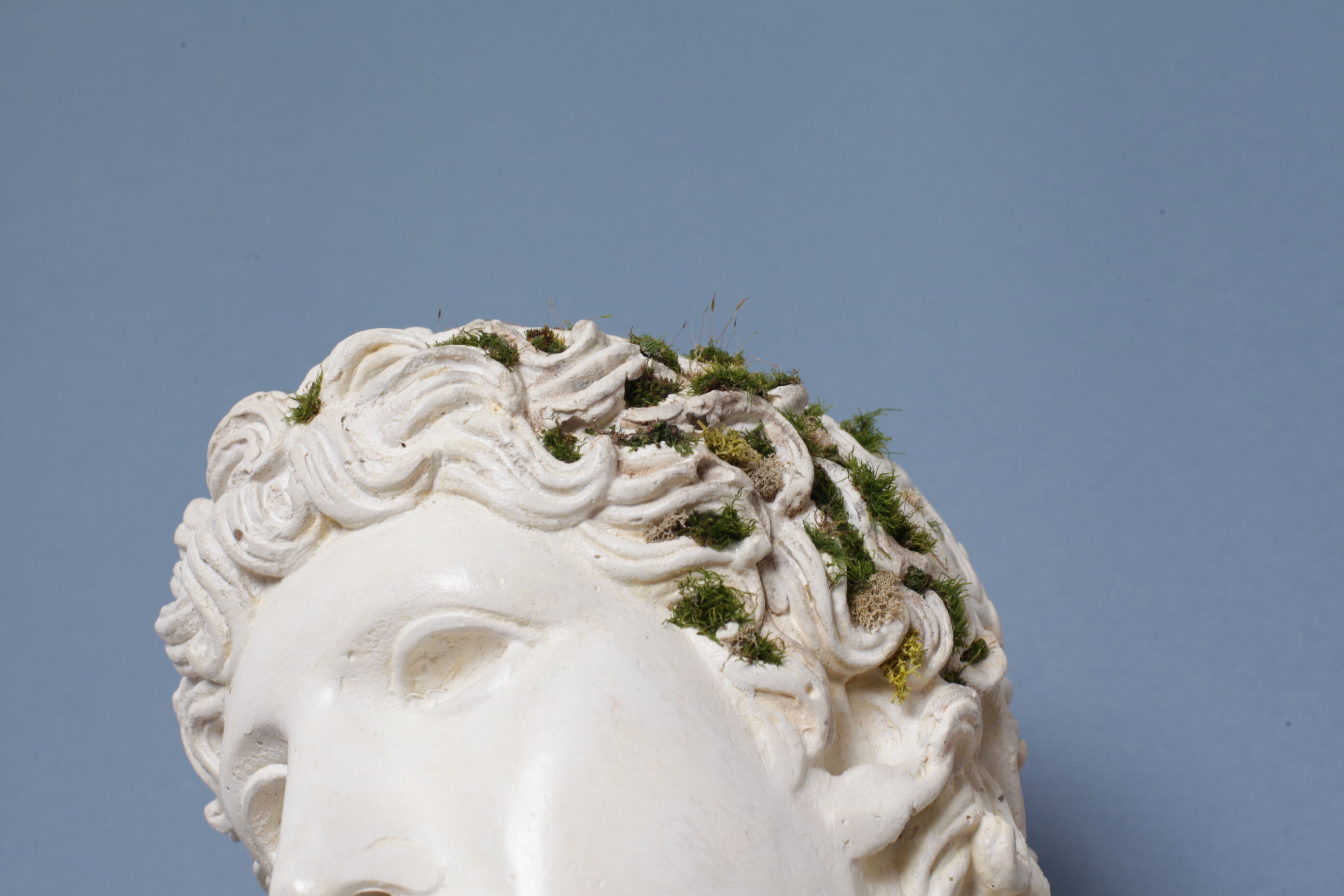 Roman head in waxed plaster