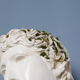 Roman head in waxed plaster
