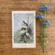 Old bird engraving - Giacomelli and Huyot - LE ROITELET