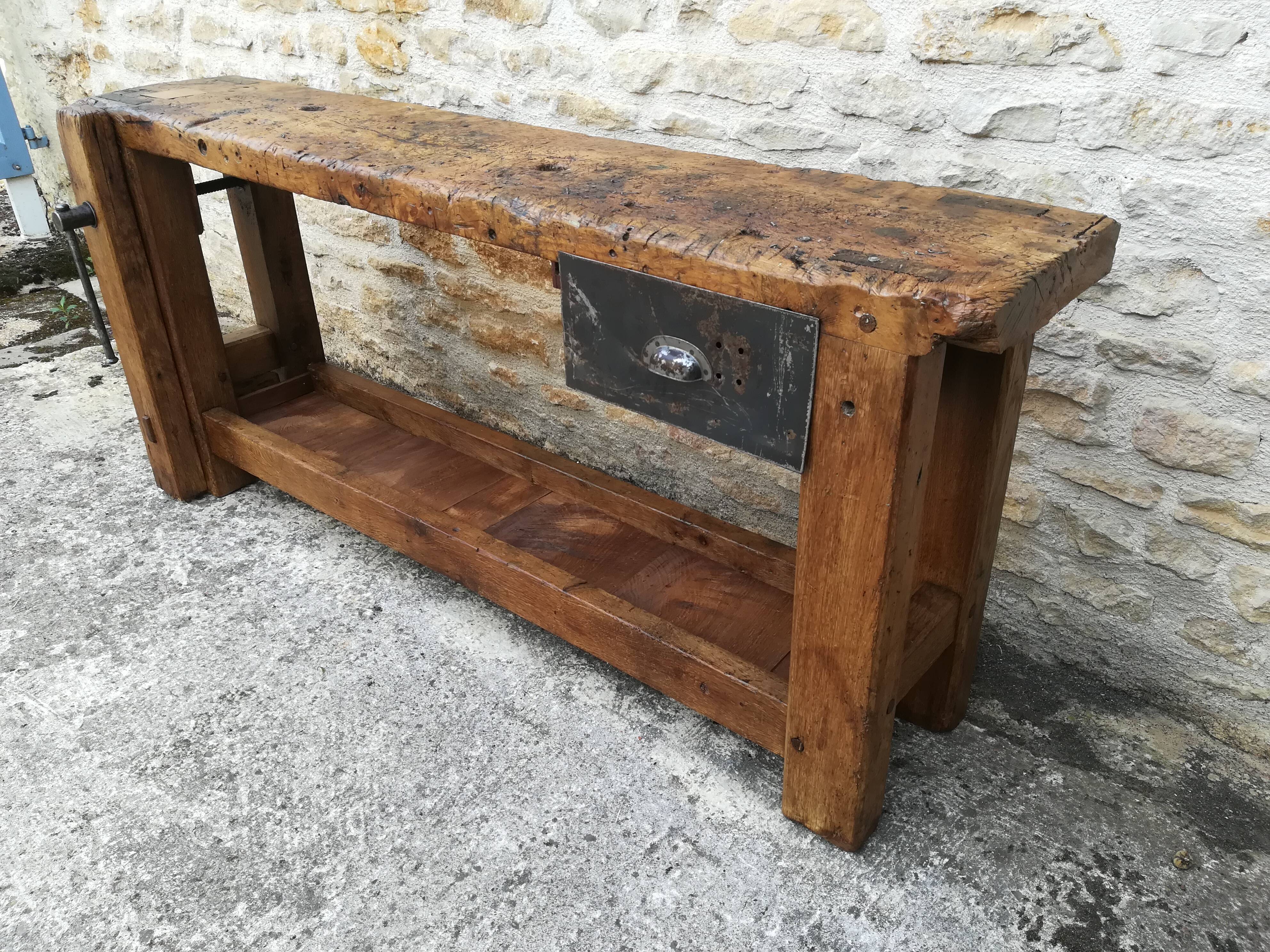 Established in elm and oak