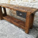 Established in elm and oak