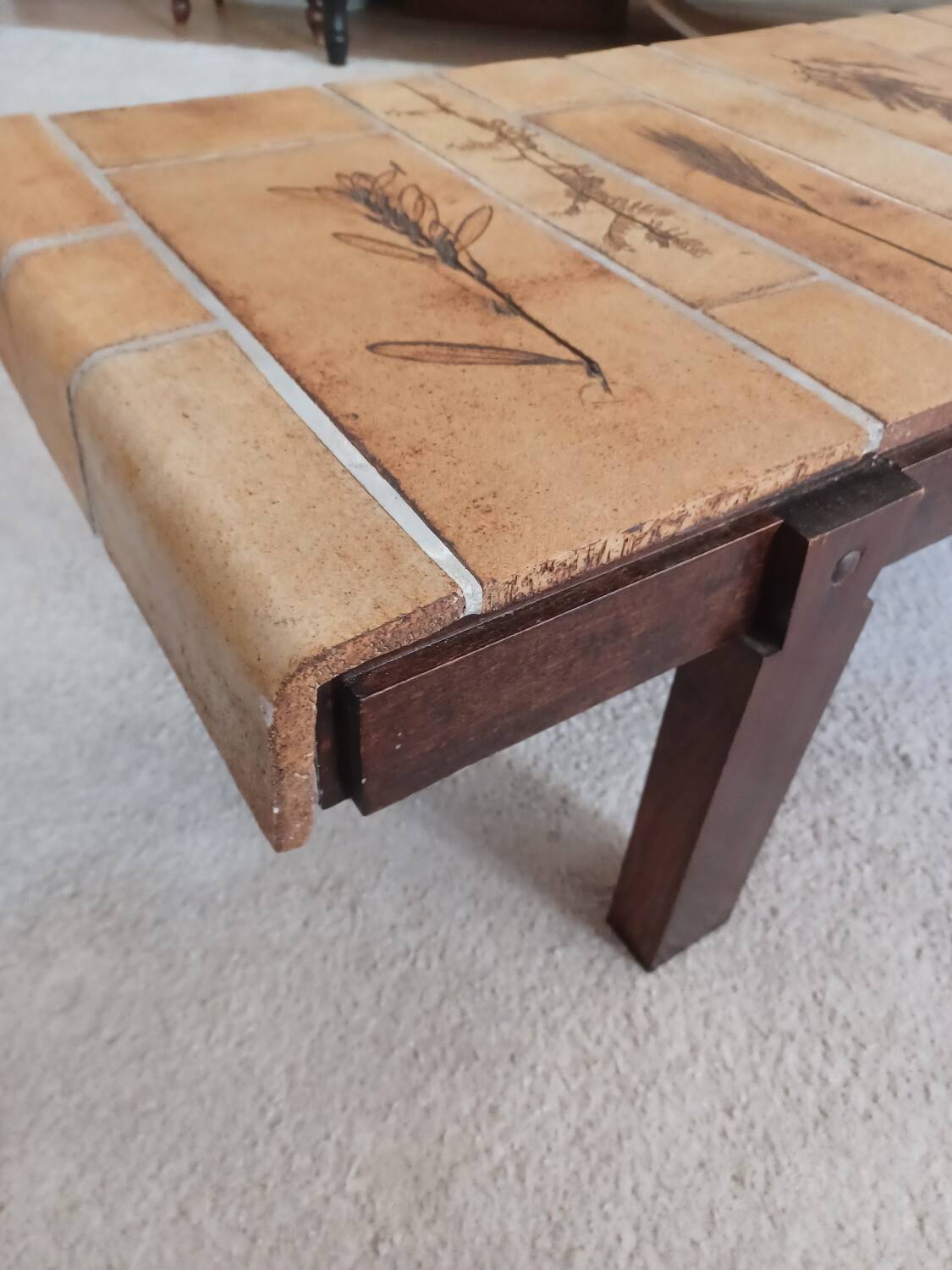 Vallauris herbarium coffee table by Roger Capron