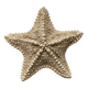 knotted starfish 21 cm