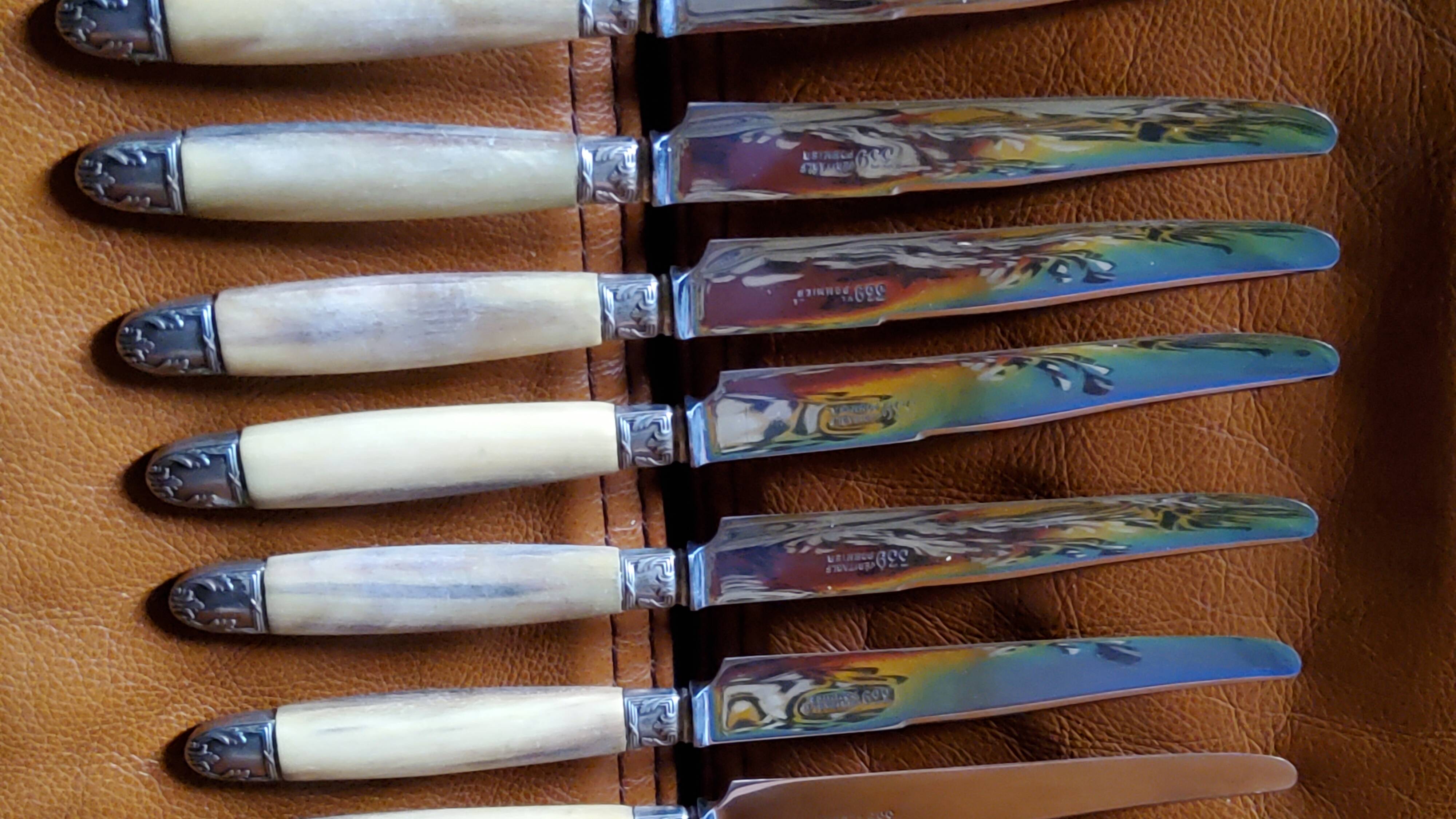 Box of 12 table knives goldsmith Apple handle horn and silver metal