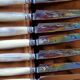 Box of 12 table knives goldsmith Apple handle horn and silver metal