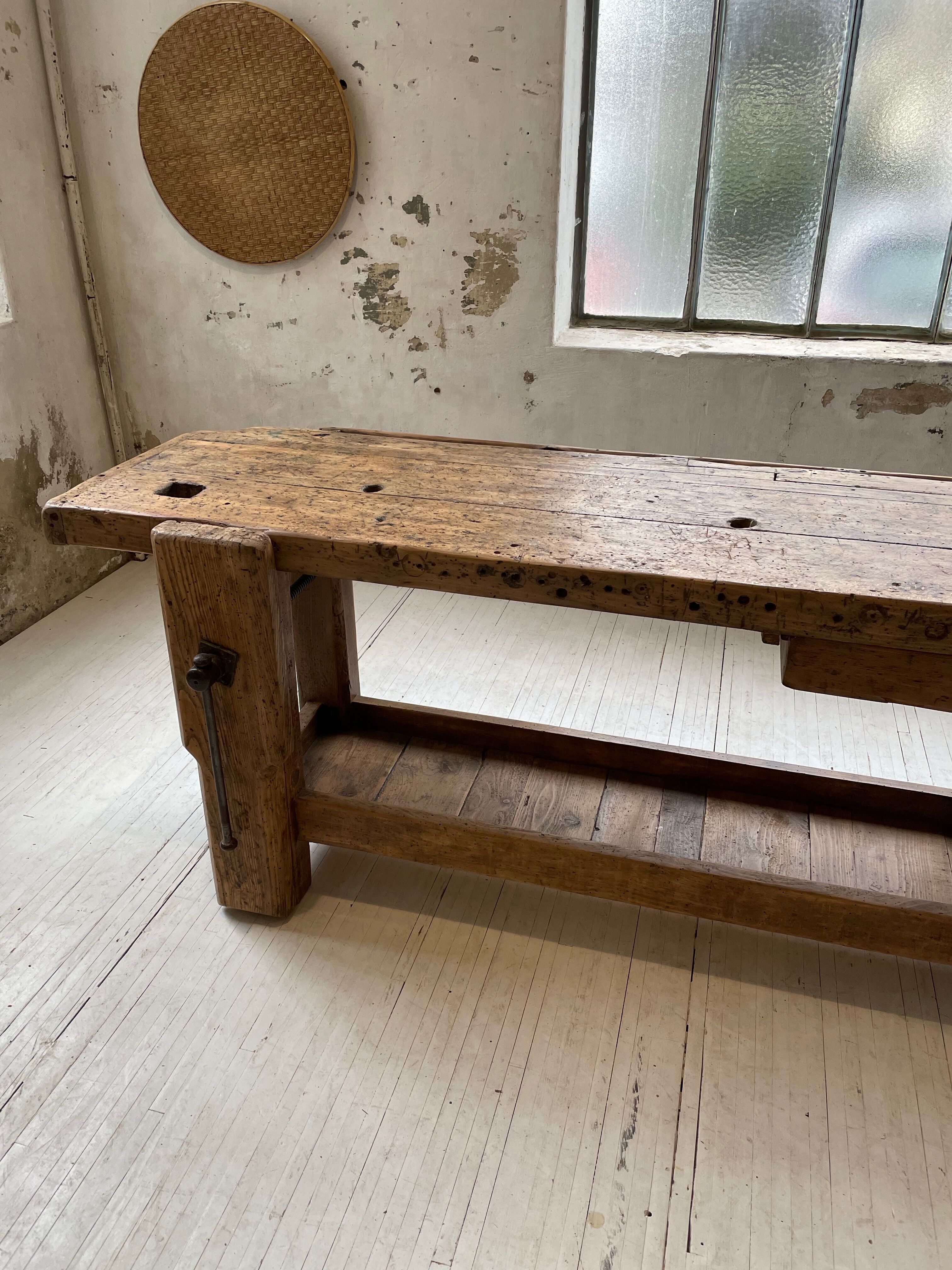 Established old oak XL