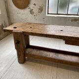 Established old oak XL