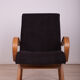 Model 53 Armchairs by Jaroslav Smidek for TON, 1960s, Set of 2