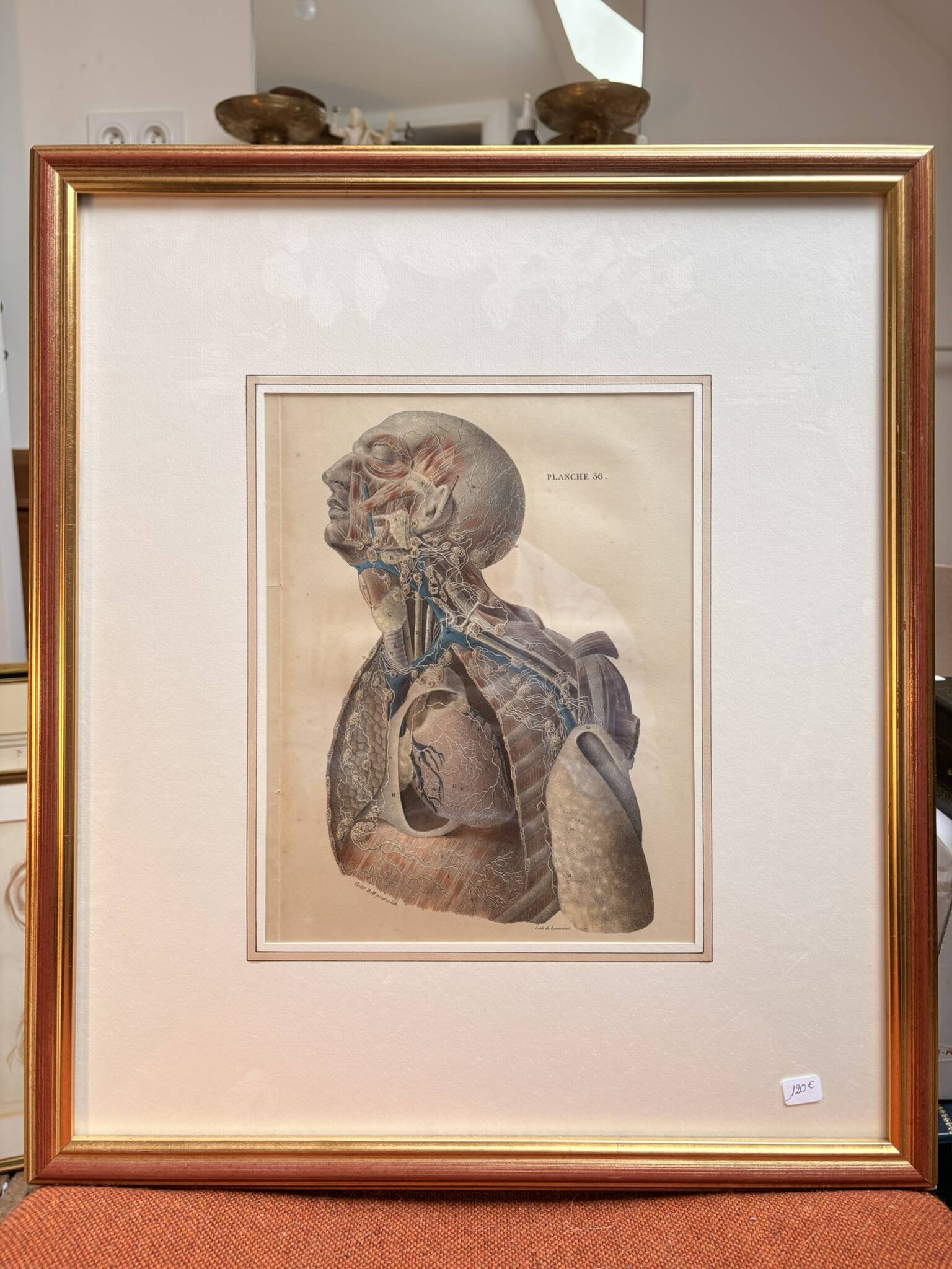 Old Print Engraving Lithograph Anatomy XIX Framed BOURGERY Lemercier