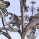 Paire de chandeliers laiton bronze décor floral