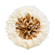 Juju hat beige 50 cm