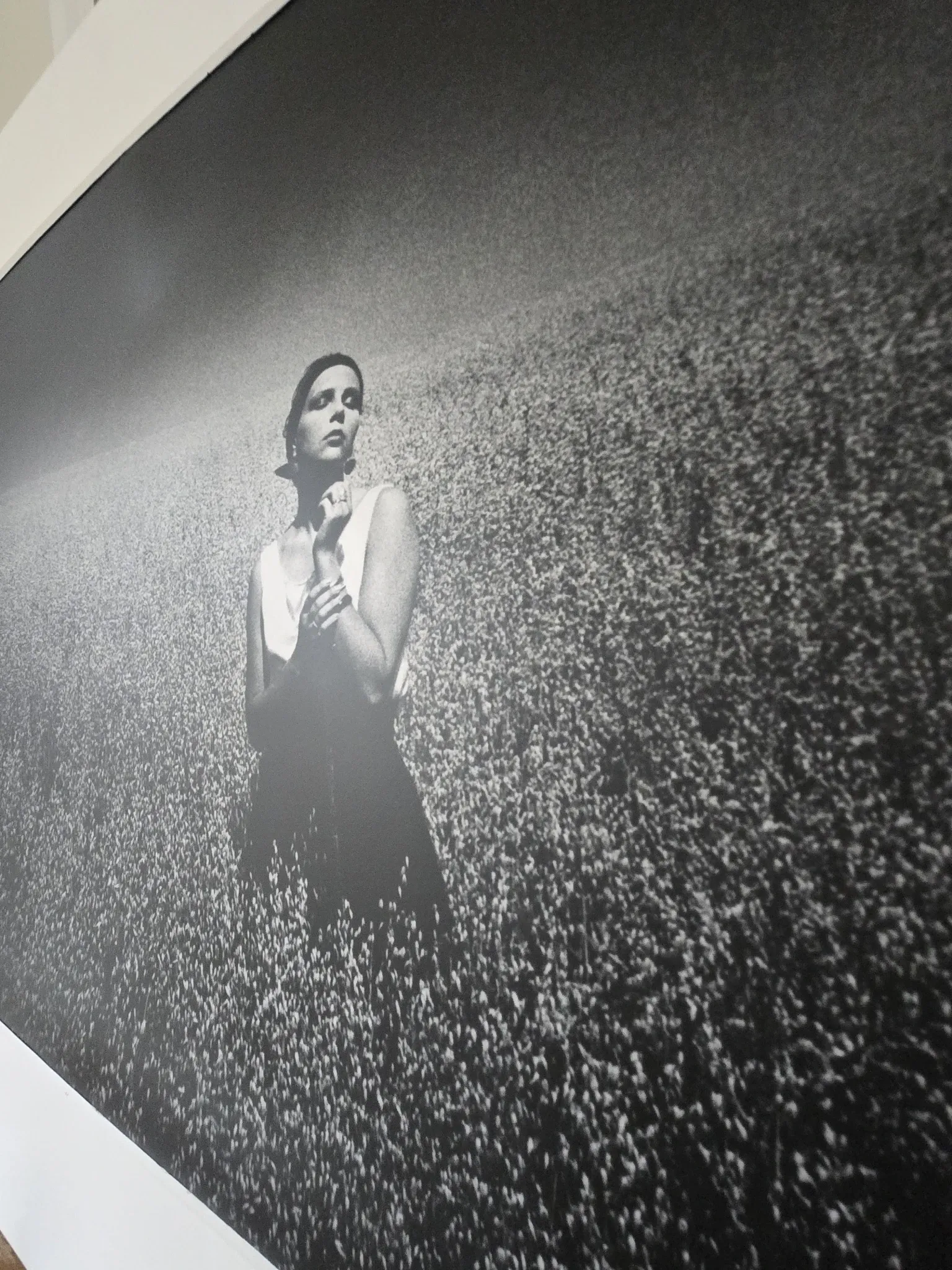 Vintage photograph print 1985 analogue XXL