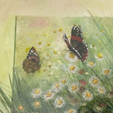 Watercolor ann dunbar "red admiral" 30x40 cm