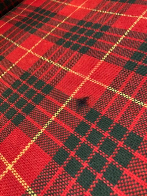 Vintage 70's sofa & daybed