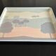 ALPAC tray 80s