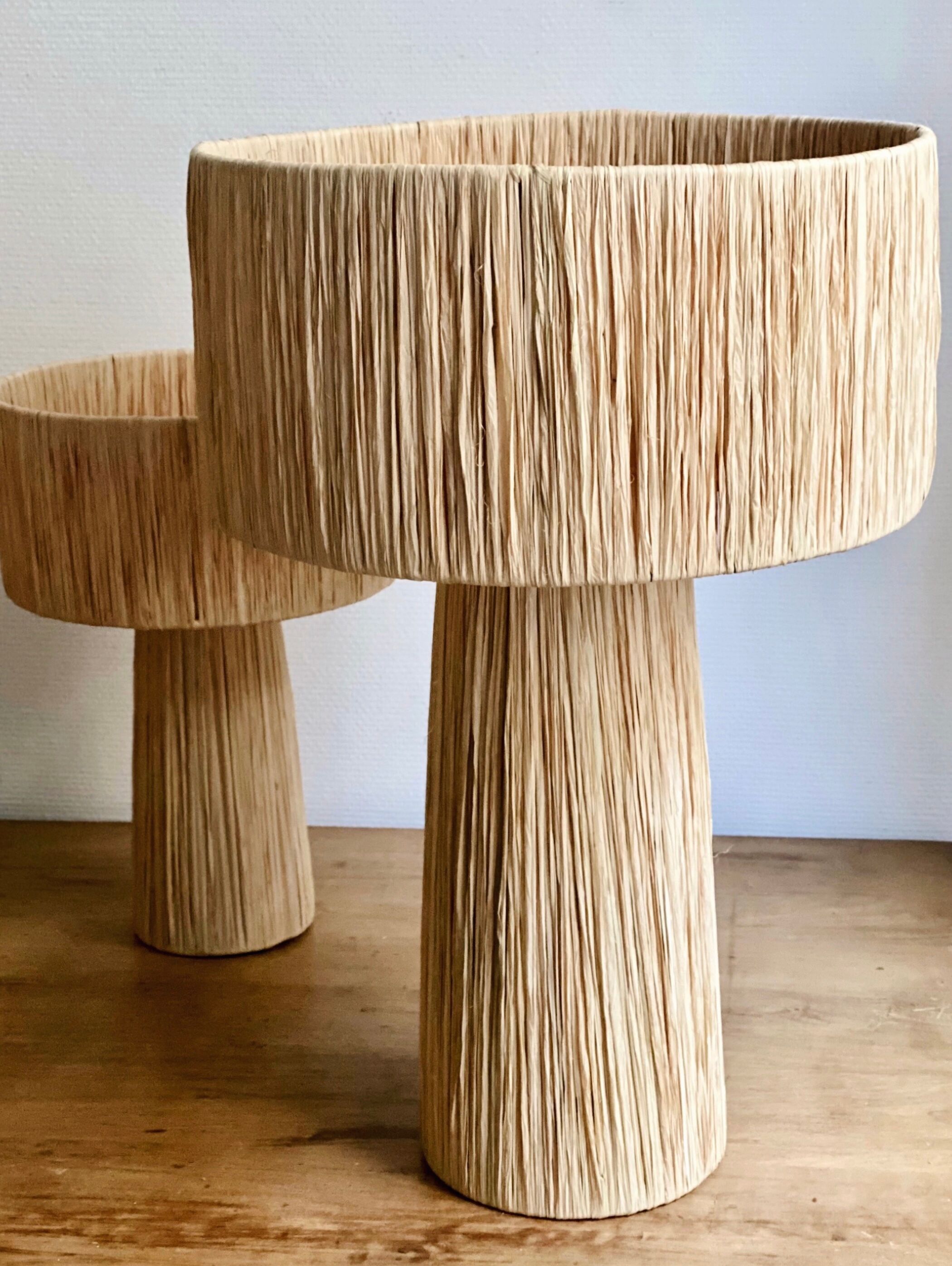 Minimalist raffia bedside table lamp