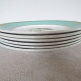 6 assiettes plates oiseaux