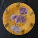 6 earthenware plates and 1 dish from salins les bains.
