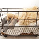 Industrial metal baker's bread cart