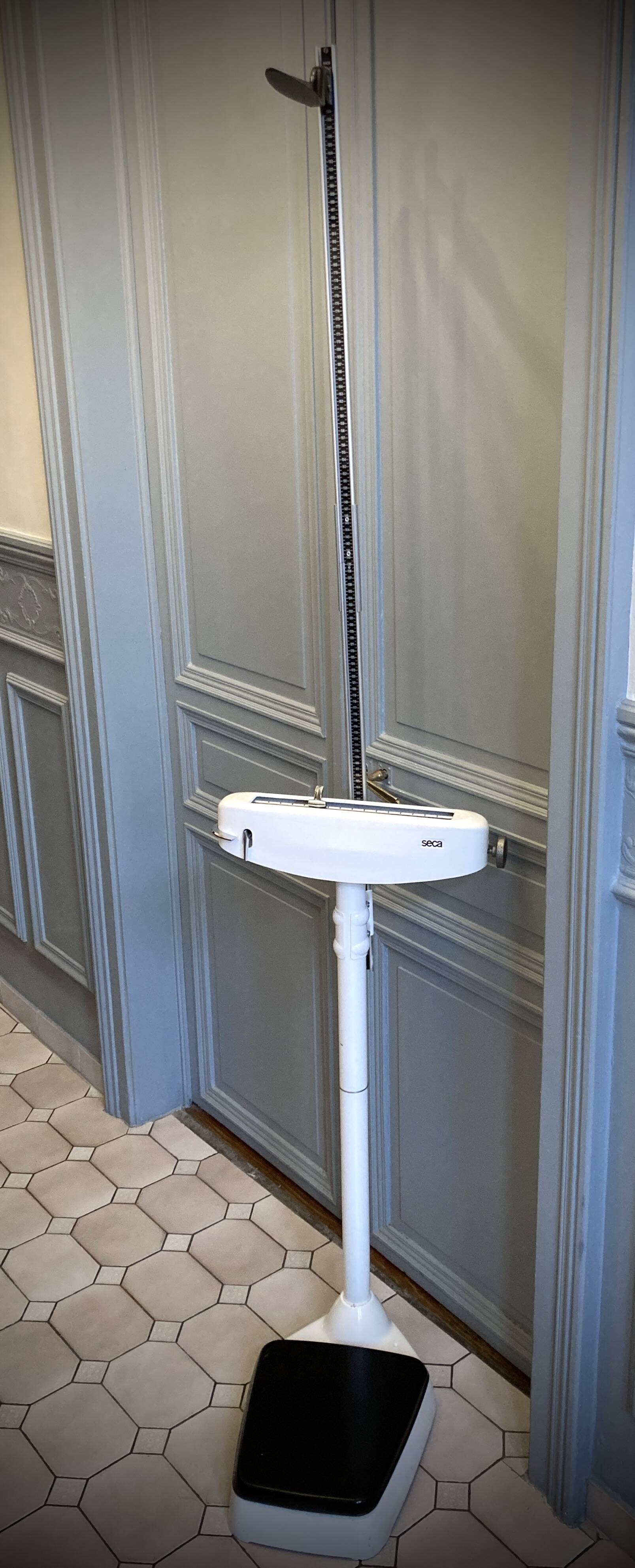 Personal scale and medicine measuring rod