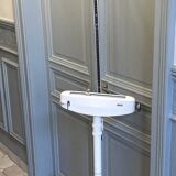 Personal scale and medicine measuring rod