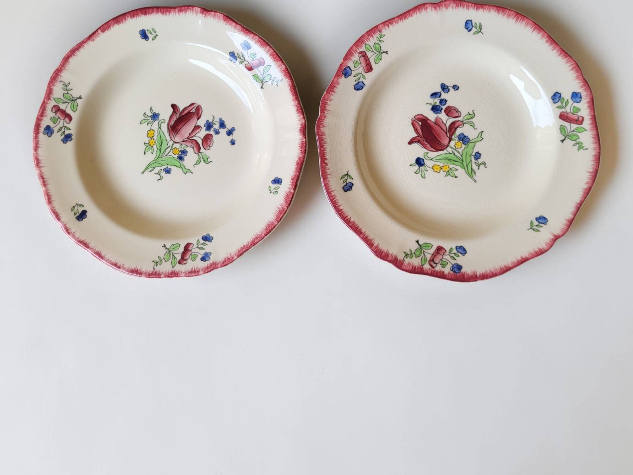 6 deep plates in Gien earthenware, Lorraine model