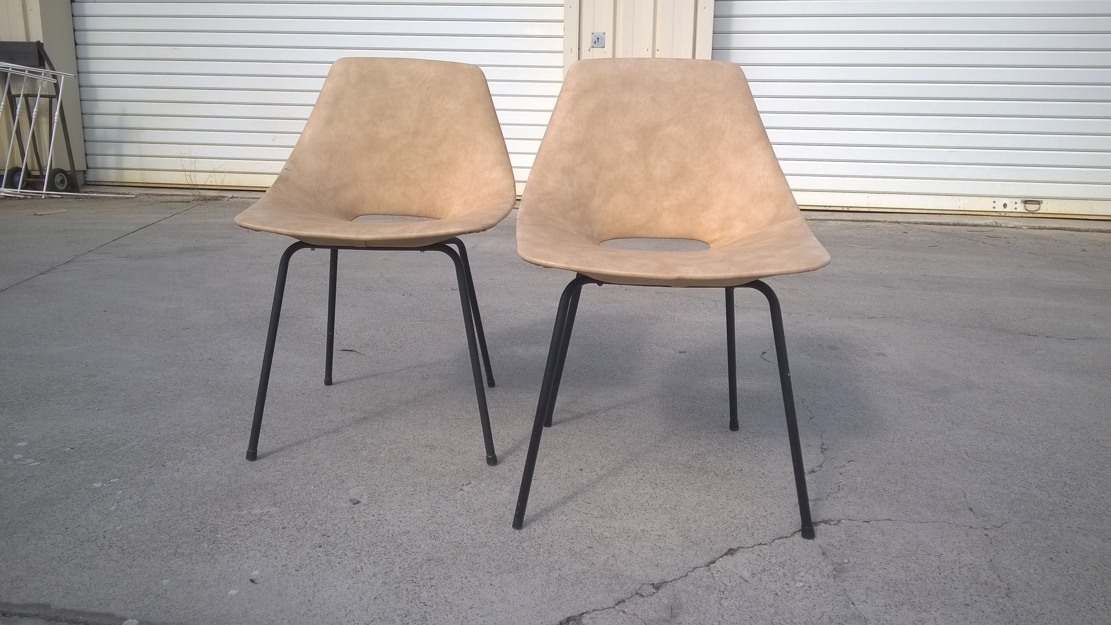 Pierre Guariche chairs