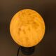 Vintage ostrich egg laying lamp