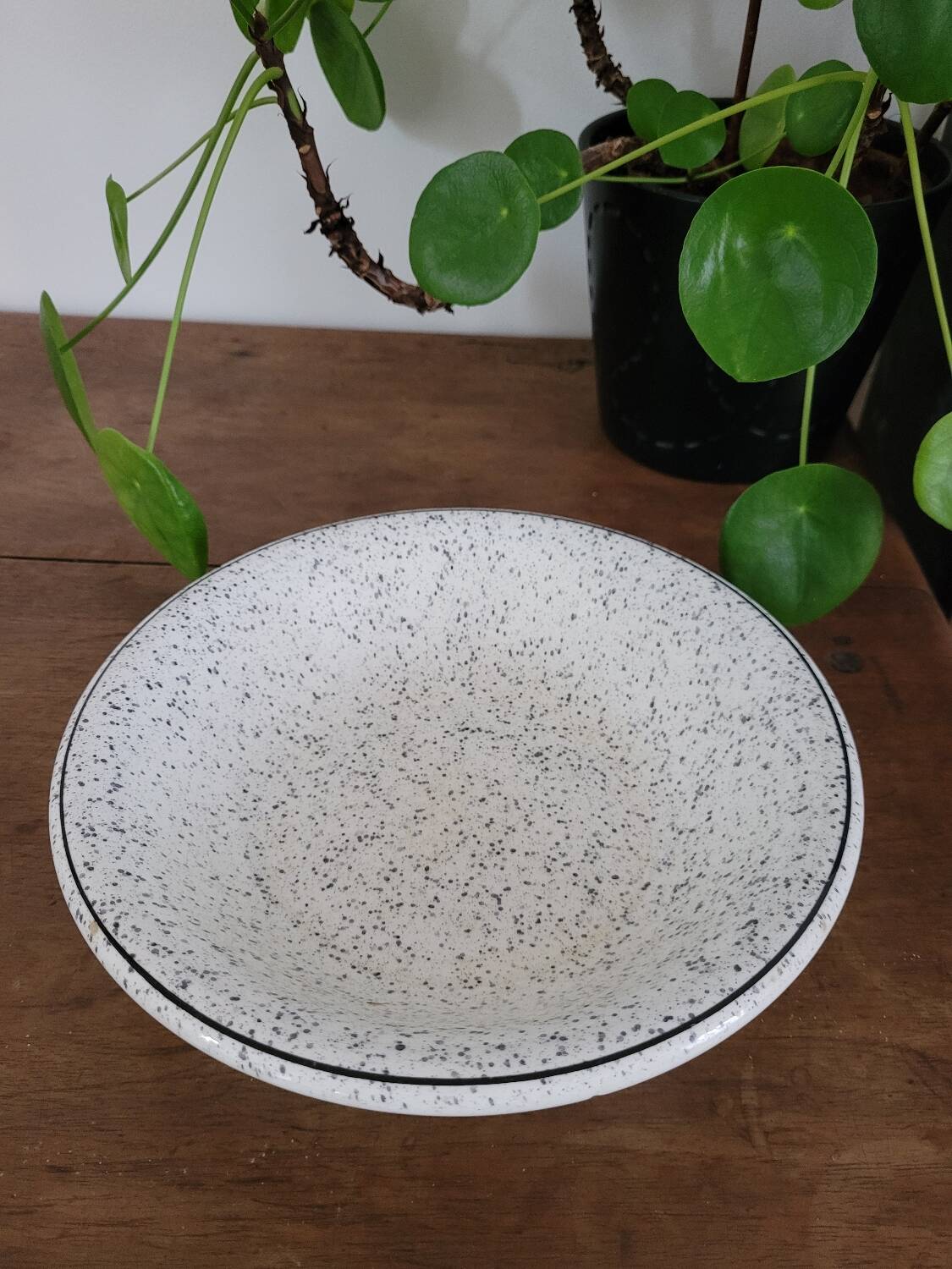 Black speckled soup plate