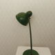Lampe verte provenant de Russie, des années 50